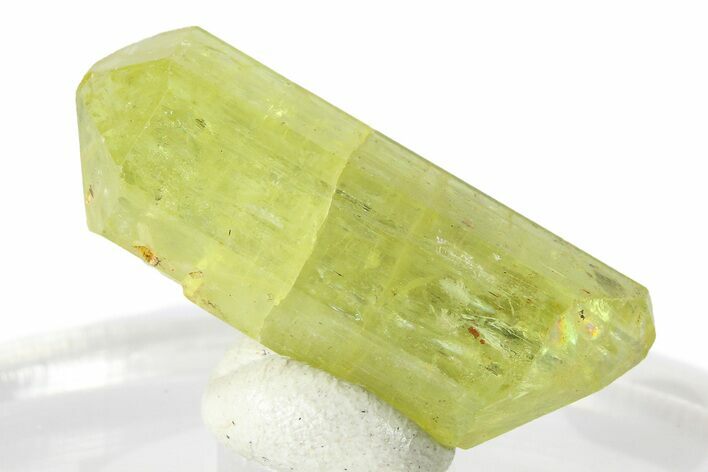 Gemmy Yellow-Green Apatite Crystal - Morocco #276552
